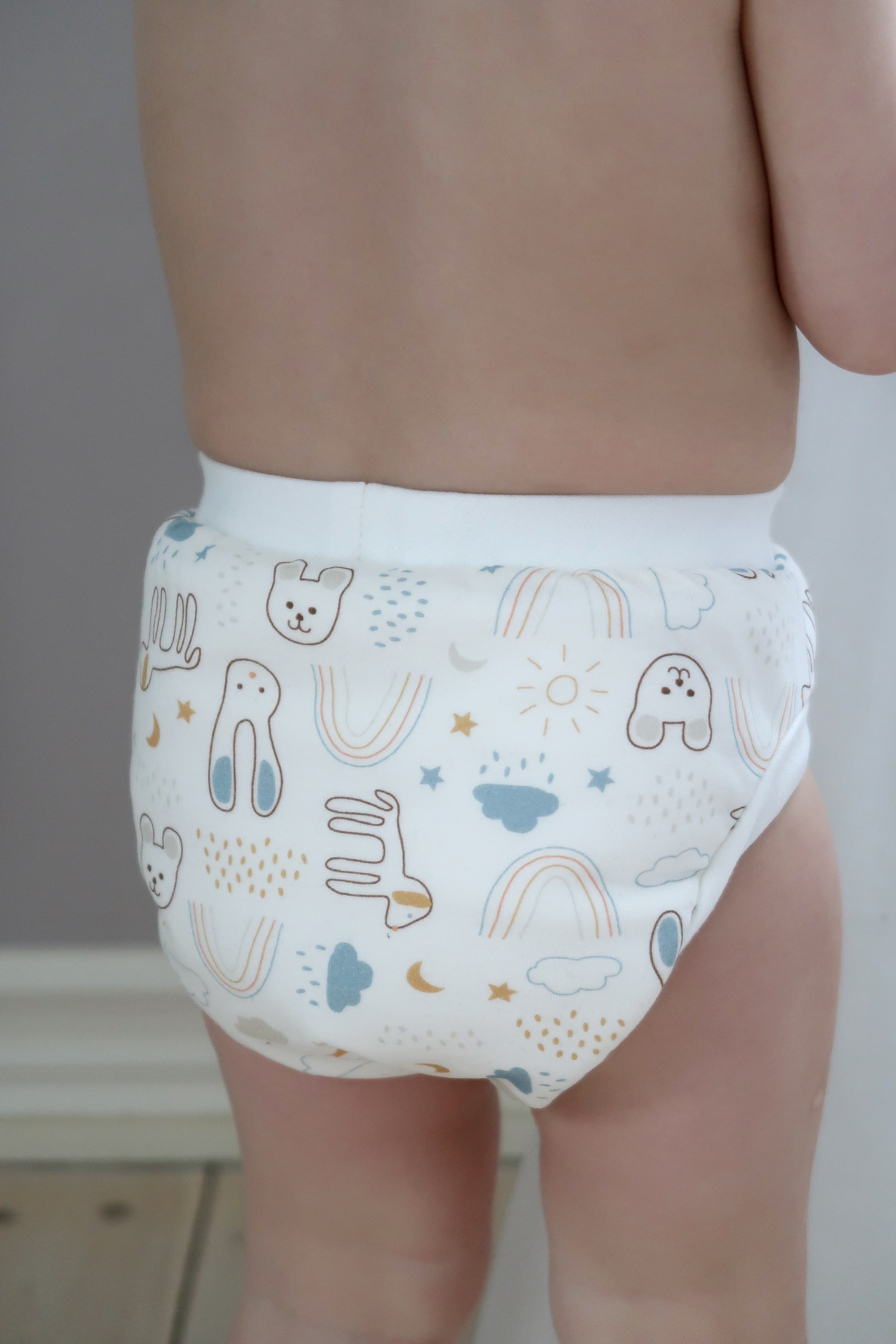 Potty training pants